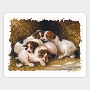 Litter of Beagle Pups Magnet